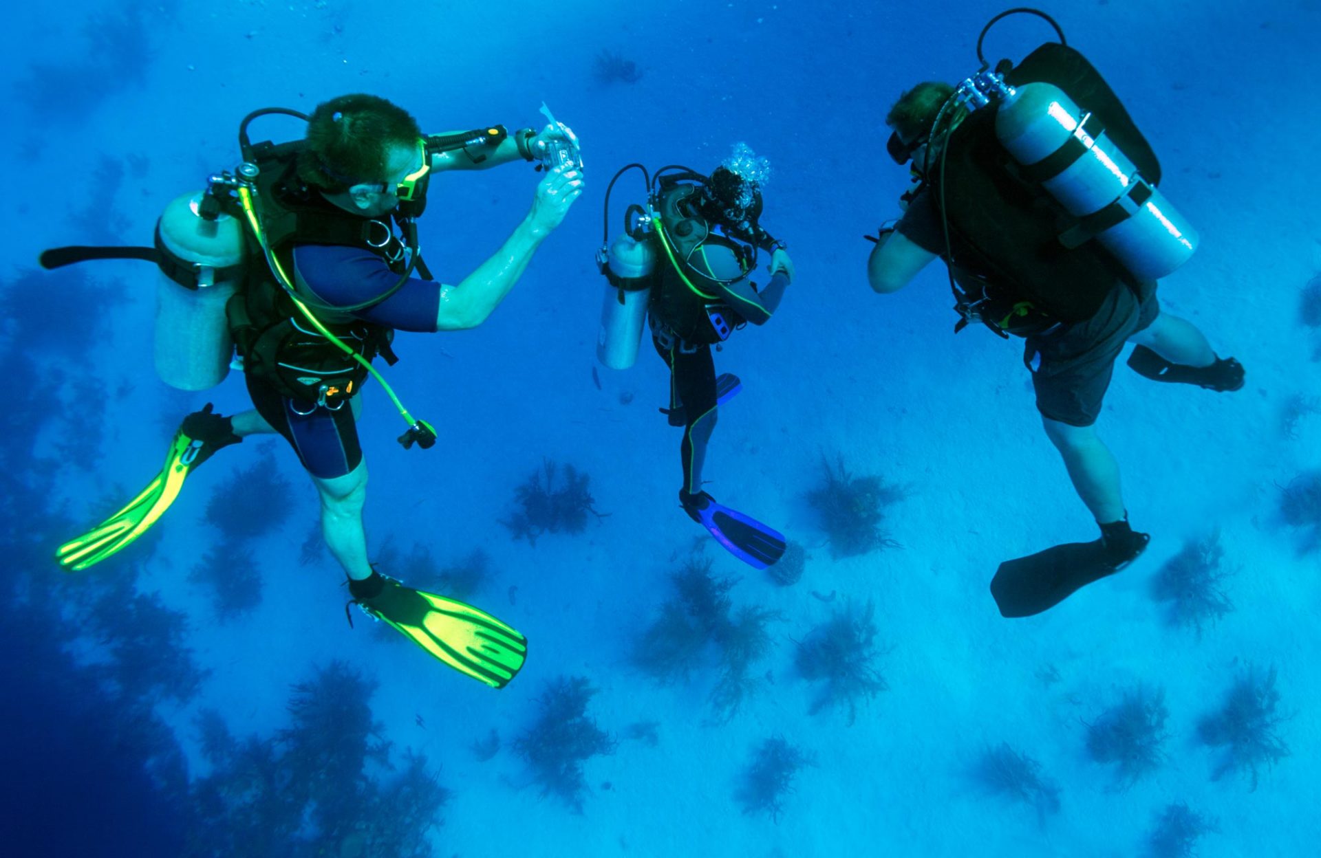 shutterstock 325504112 - First Time Scuba Diving Experience