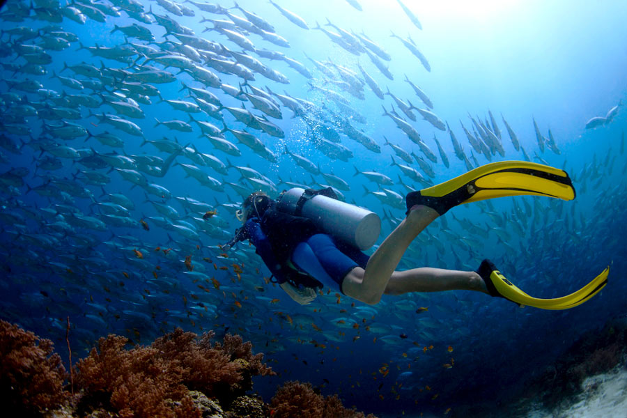 Scuba diver with fins approaching school of fish