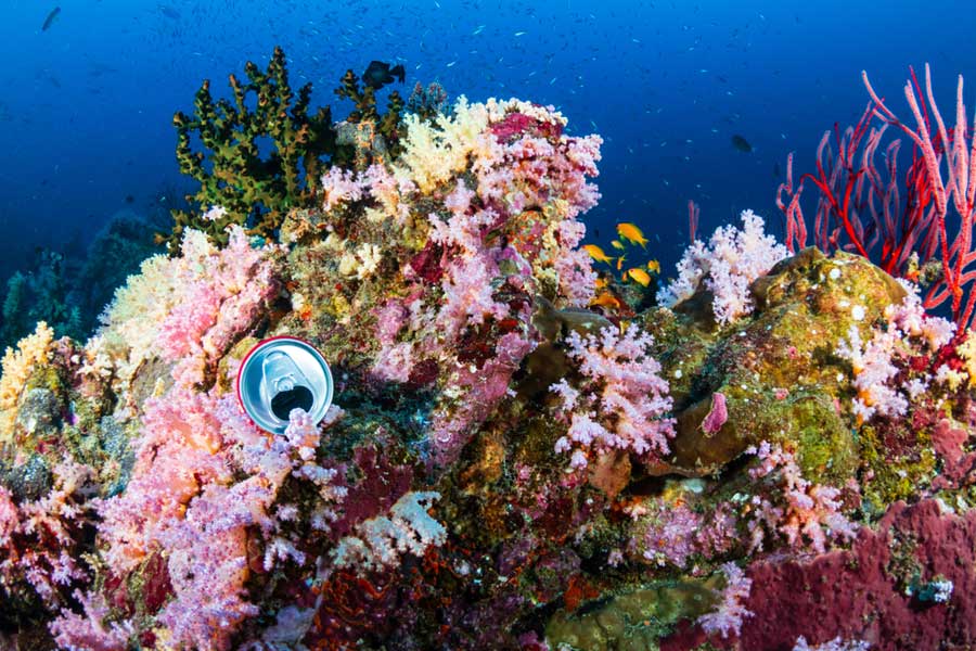 empty soda can polluting colorful coral reef