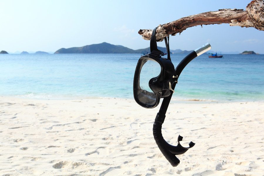 snorkel hanging from a tree branch on a white sandy beach