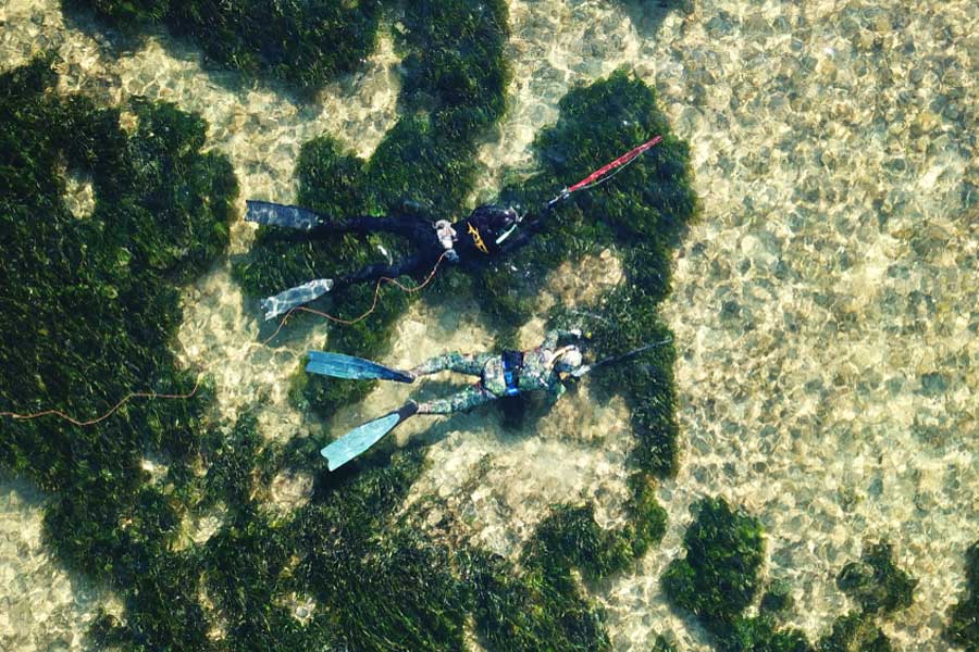 Aerial shot of a pair of spearfishermen in the water