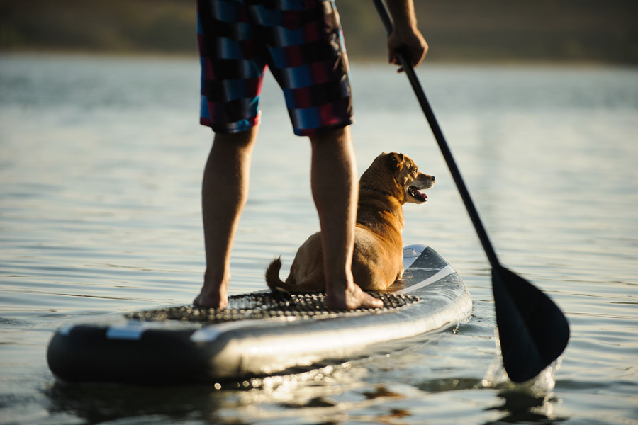 man and his dog paddle boarding with an inflatable board