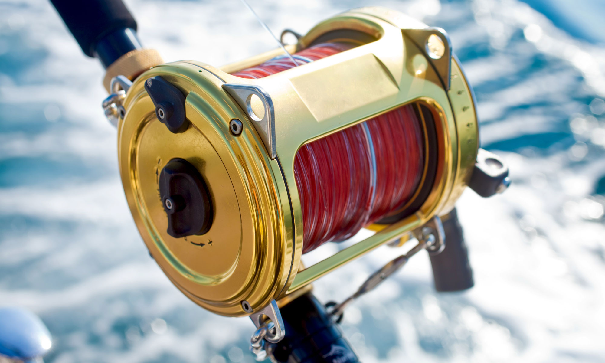 7 Best Saltwater Fishing Reels AquaViews