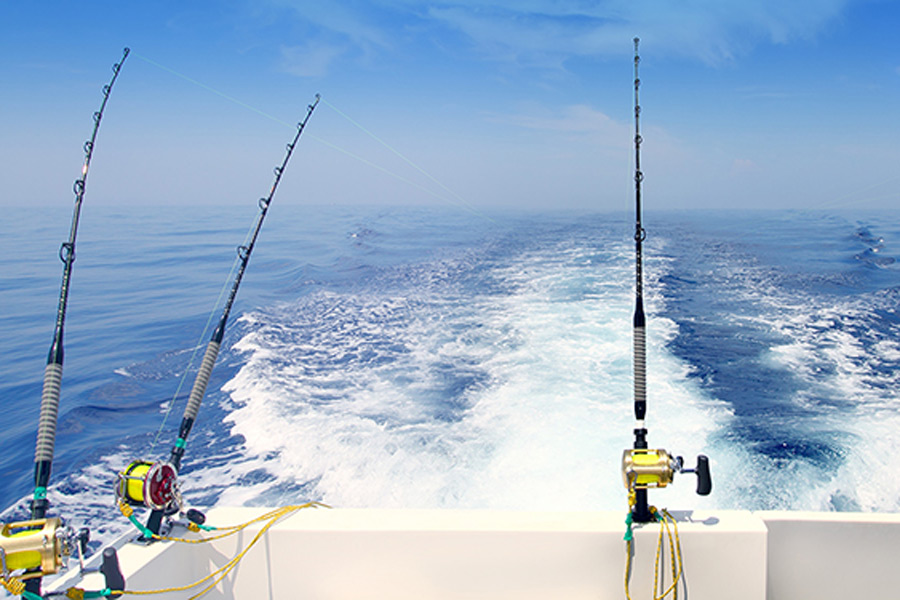 landscape shot of fishing rods set up along the back of a moving boat