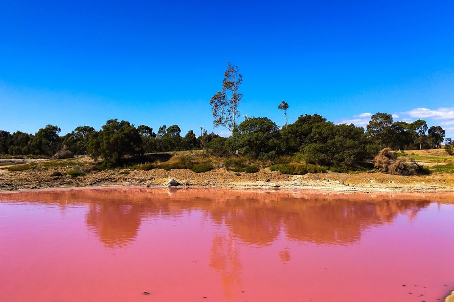 close-up shot of a pink lake in Australia