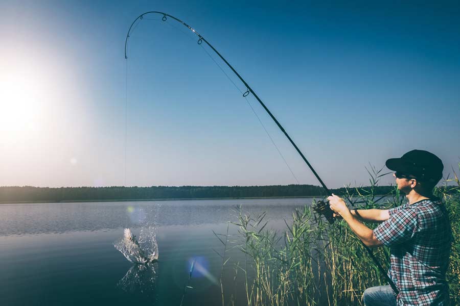 Types of Fishing Rods: A Primer for Beginners 