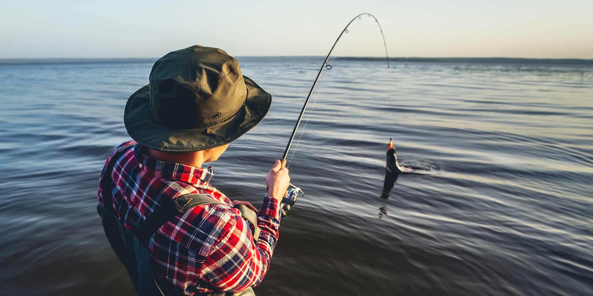 Types of Fishing Rods: A Primer for Beginners - AquaViews