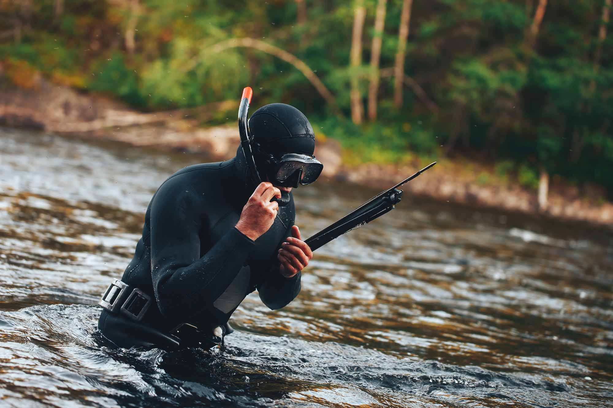 Spearfishing Gear The Essentials You’ll Need this Summer