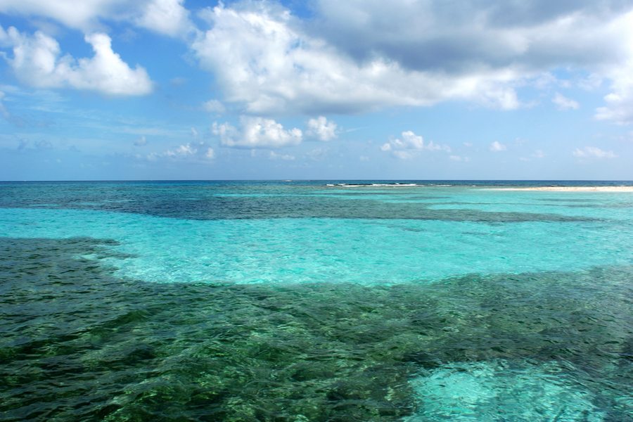 Belize Barrier Reef most famous coral reef in the world