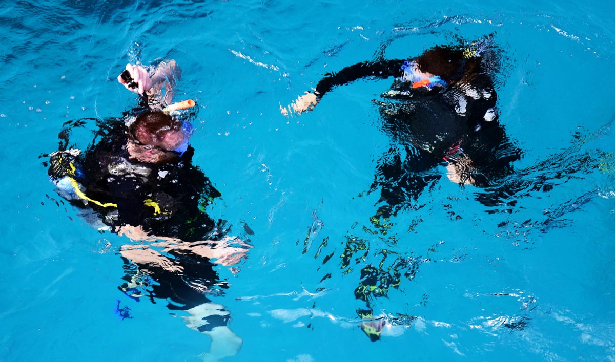 scuba divers in water