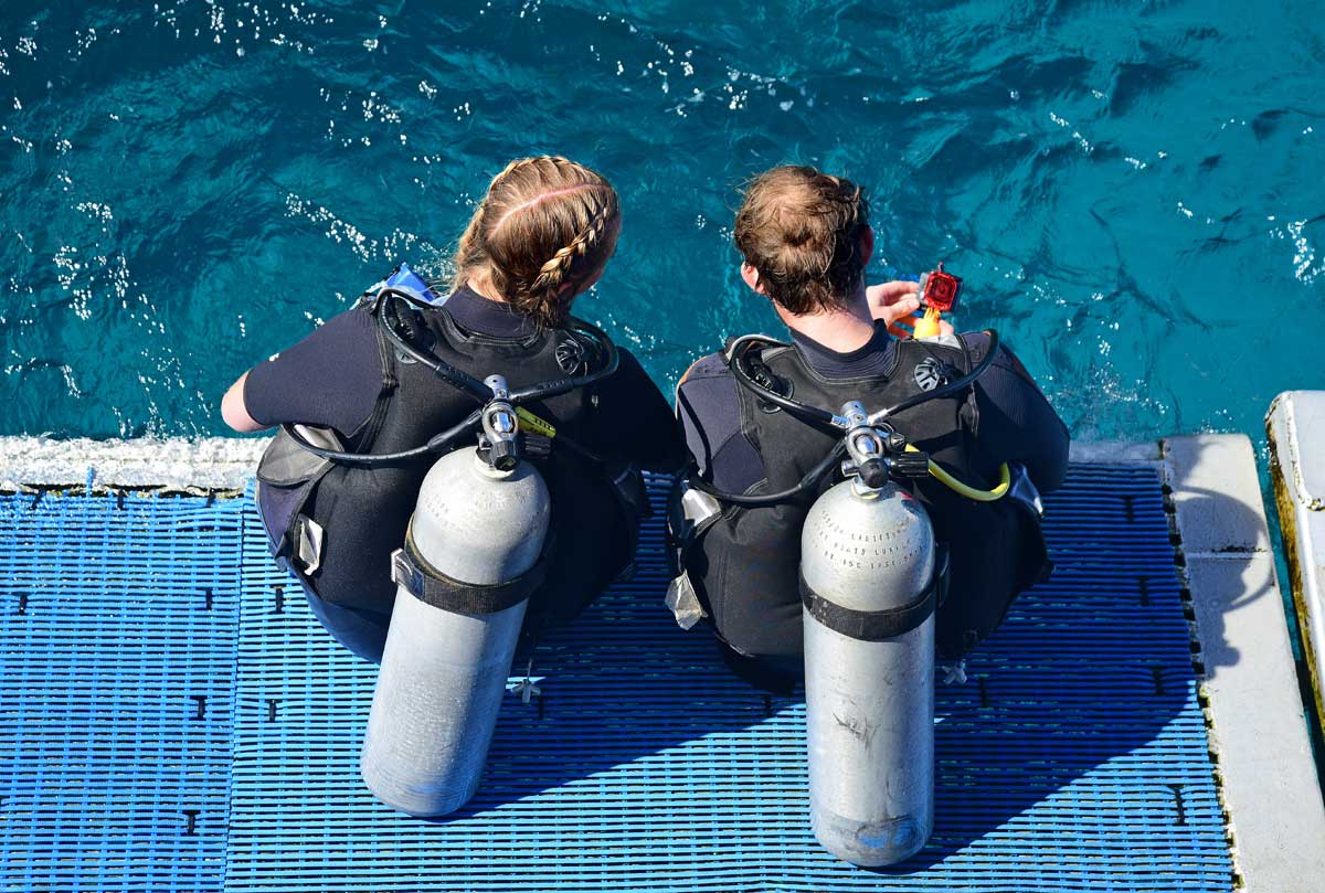 scuba diving buddies