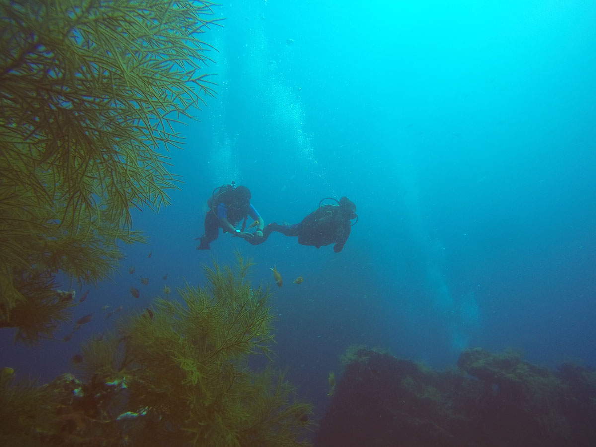 Andaman Islands, Indian Ocean scuba diving