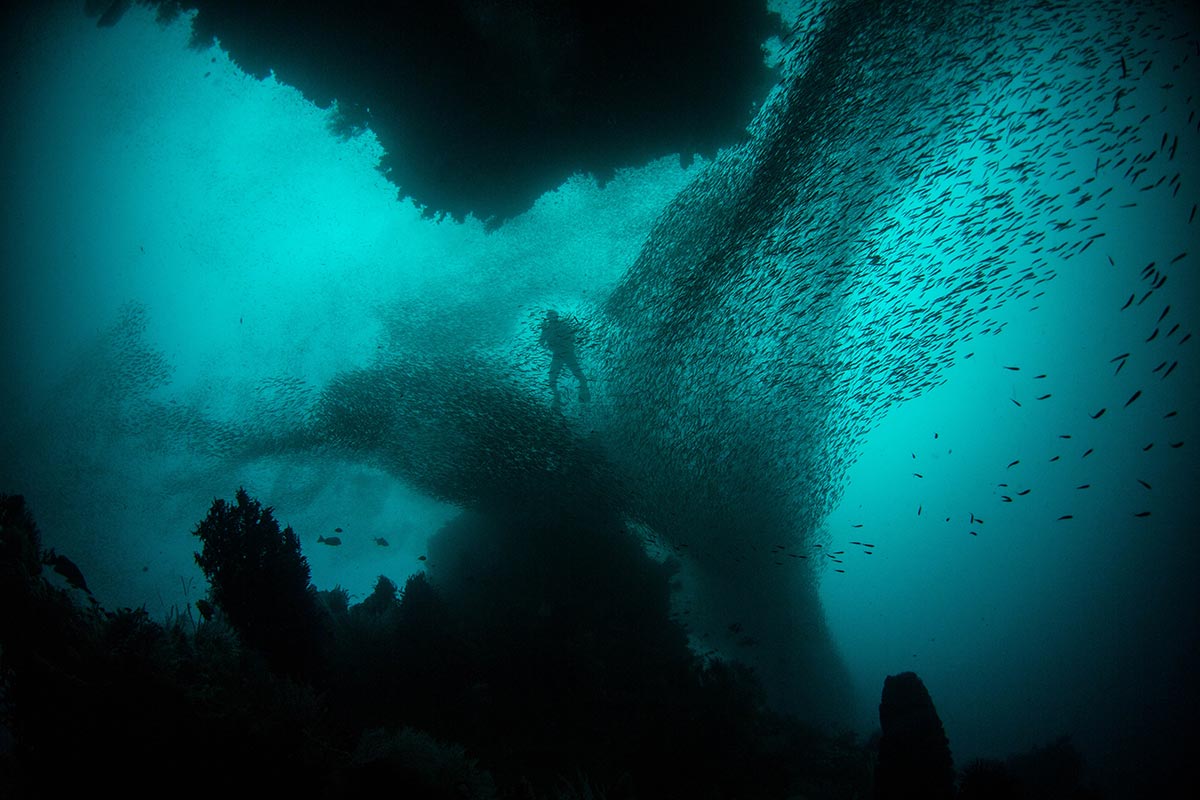 Raja Ampat, Indonesia scuba diving