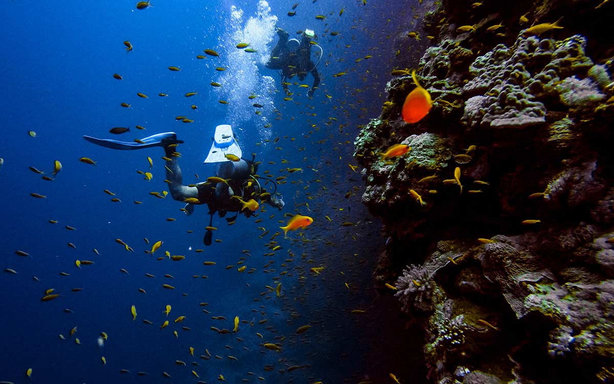 egypt scuba diving