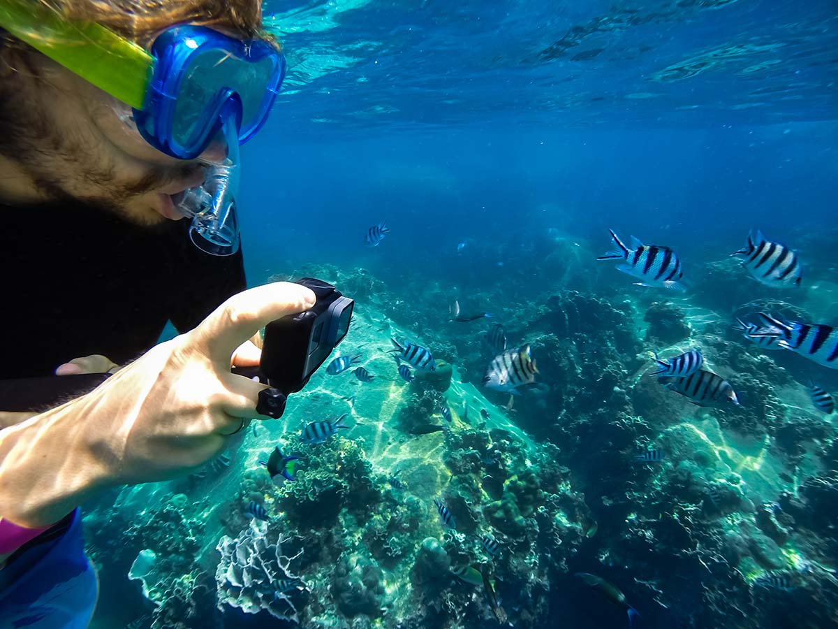 Underwater Cameras snorkeler